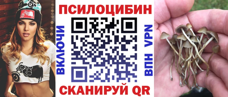 где найти наркотики  Карабулак  Галлюциногенные грибы MAGIC MUSHROOMS 