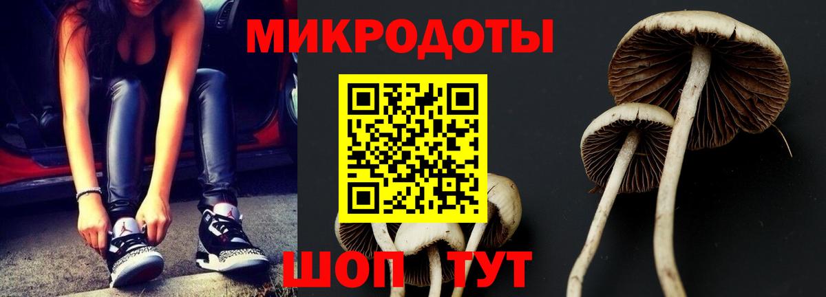 Псилоцибиновые грибы мицелий  даркнет сайт  Карабулак  Вход с VPN  Галлюциногенные грибы мухоморы 